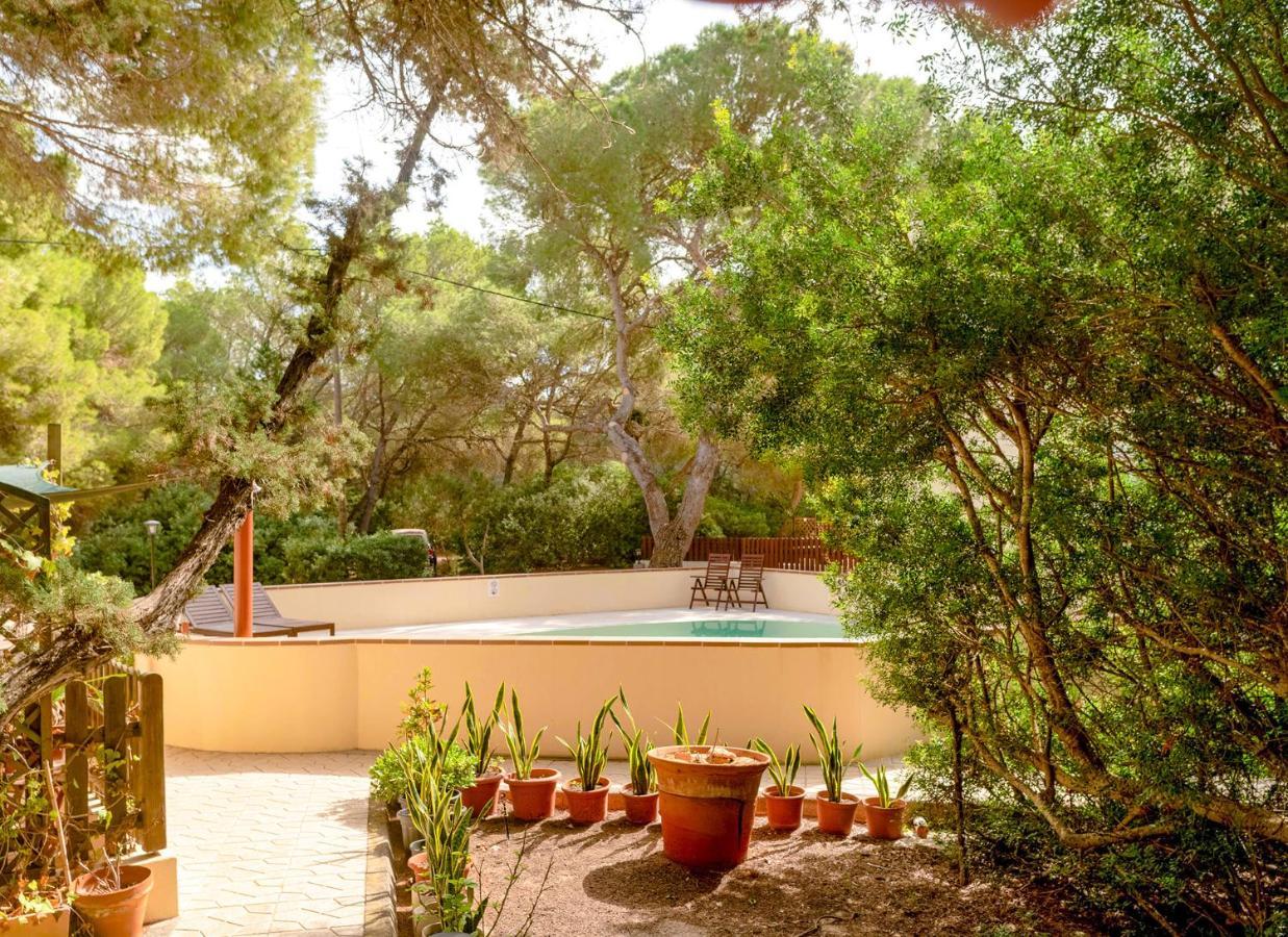 Apartamentos El Pino - Formentera Break Es Calo (Formentera) Exterior foto